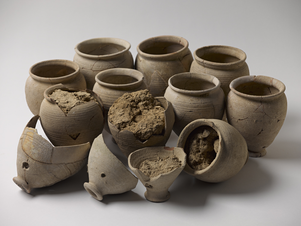 Strata — Current Issue AIAS